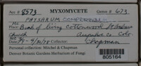 Image Associated With the Occurence